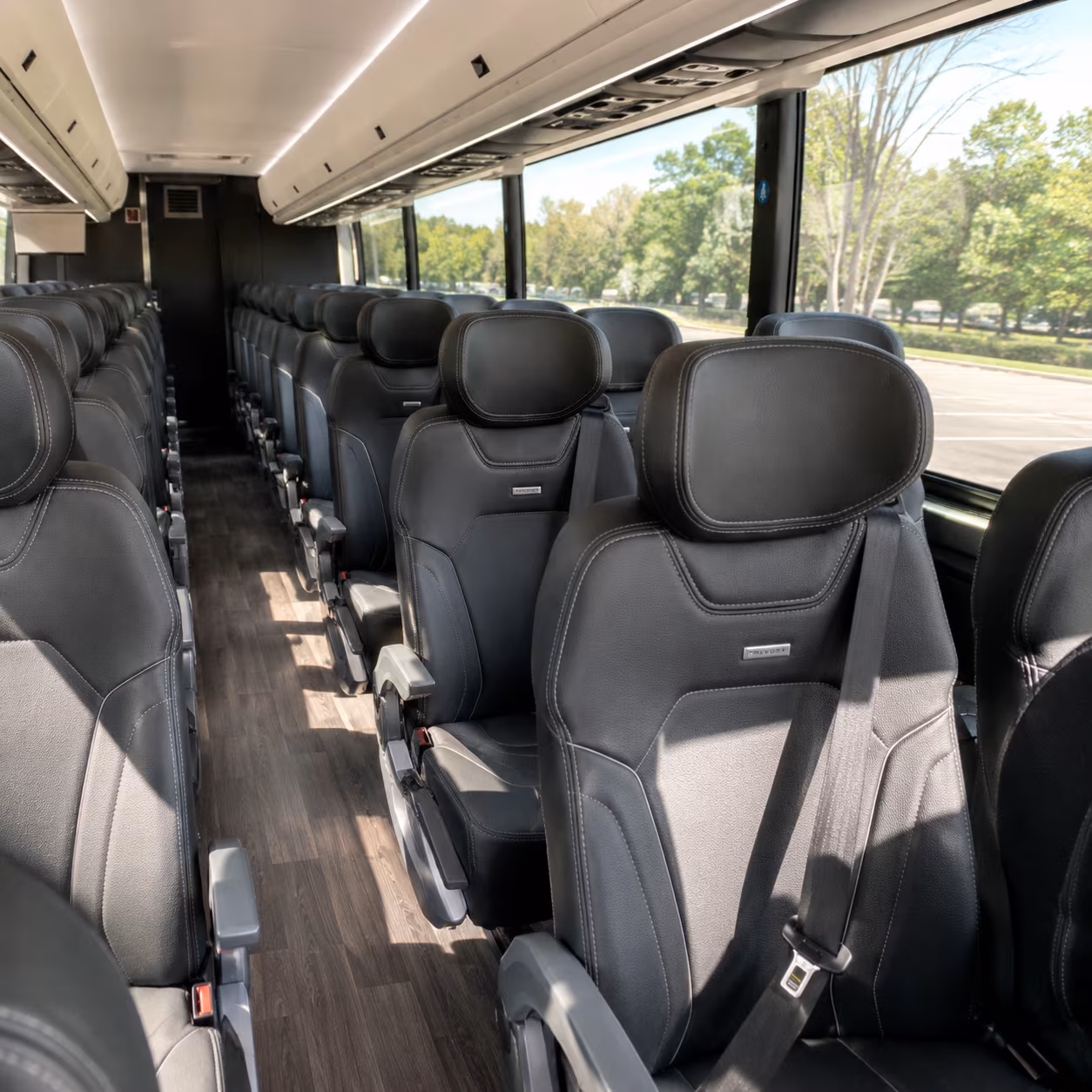 gainesville wine tour brewery transportation onboard seating