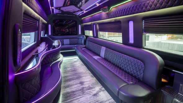 gainesville party bus rental interior