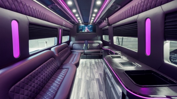 gainesville sprinter limo rental rental