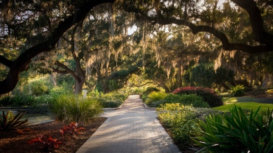 kanapaha botanical gardens