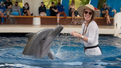 marineland dolphin adventure