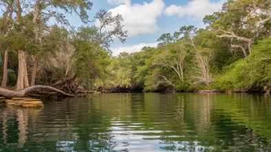 wekiwa springs state park