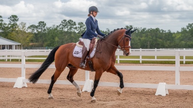 world equestrian center ocala